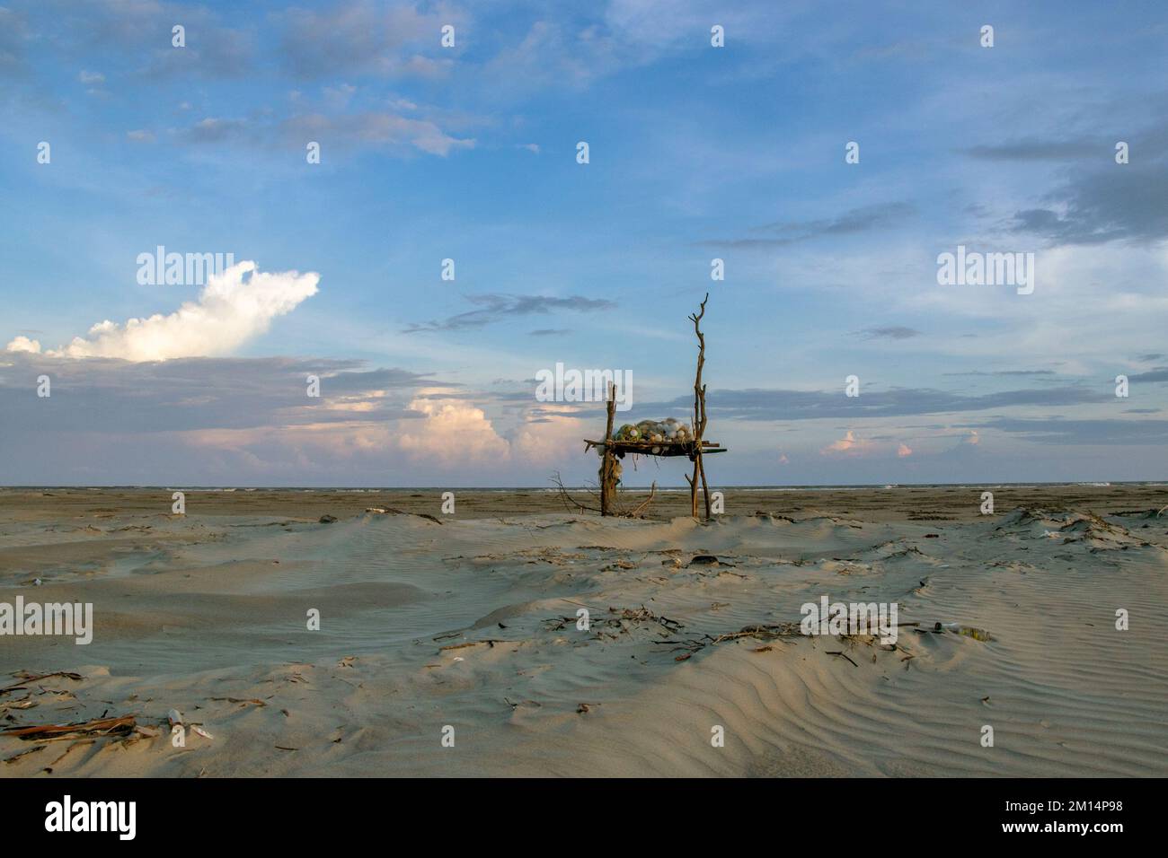 magnifique bakkali bengale occidental inde Banque D'Images