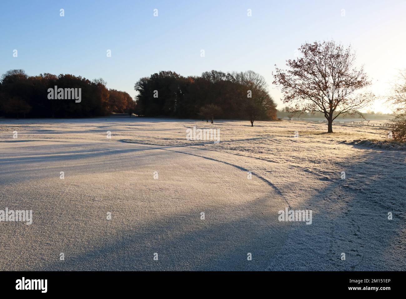Epsom Downs Surrey, Royaume-Uni. 10th décembre 2022. Avec des températures à moins 4 degrés celsius au lever du soleil, Epsom Downs était aujourd'hui très gelé. Crédit : Julia Gavin/Alamy Live News Banque D'Images Epsom Downs Surrey, Royaume-Uni. 10th décembre 2022. Avec des températures à moins 4 degrés celsius au lever du soleil, Epsom Downs était aujourd'hui très gelé. Crédit : Julia Gavin/Alamy Live News Banque D'Images
