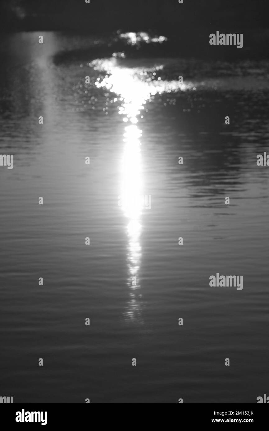 Le soleil du soir brillant scintillant sur la surface de l'étang dans un noir et blanc monochrome. Banque D'Images