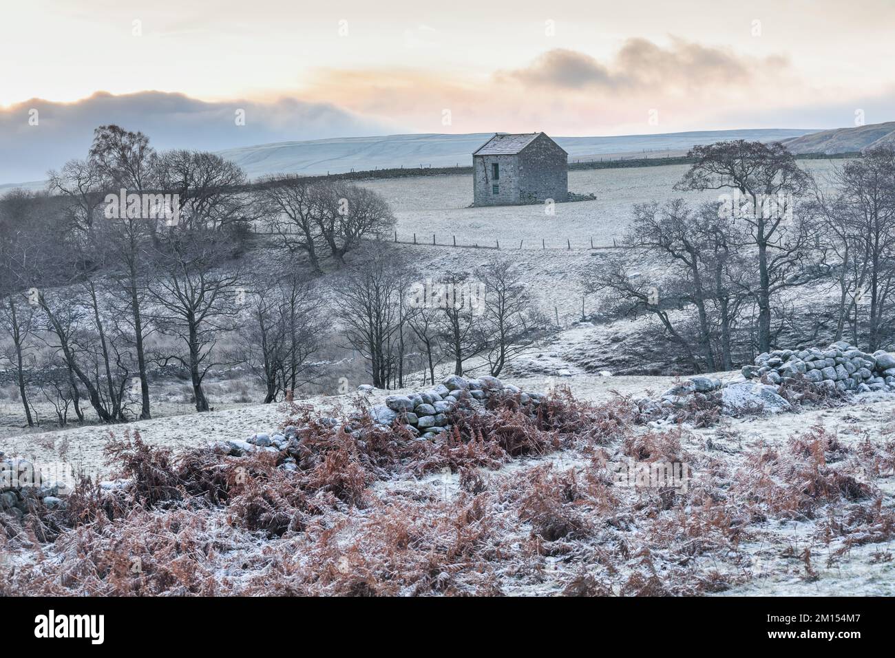 Teesdale, comté de Durham, Royaume-Uni. 10th décembre 2022. Météo Royaume-Uni. Un revêtement blanc de givre et de glace recouvre le sol ce matin à Teesdale après une autre forte période de gel de nuit dans le nord-est de l'Angleterre. Crédit : David Forster/Alamy Live News Banque D'Images