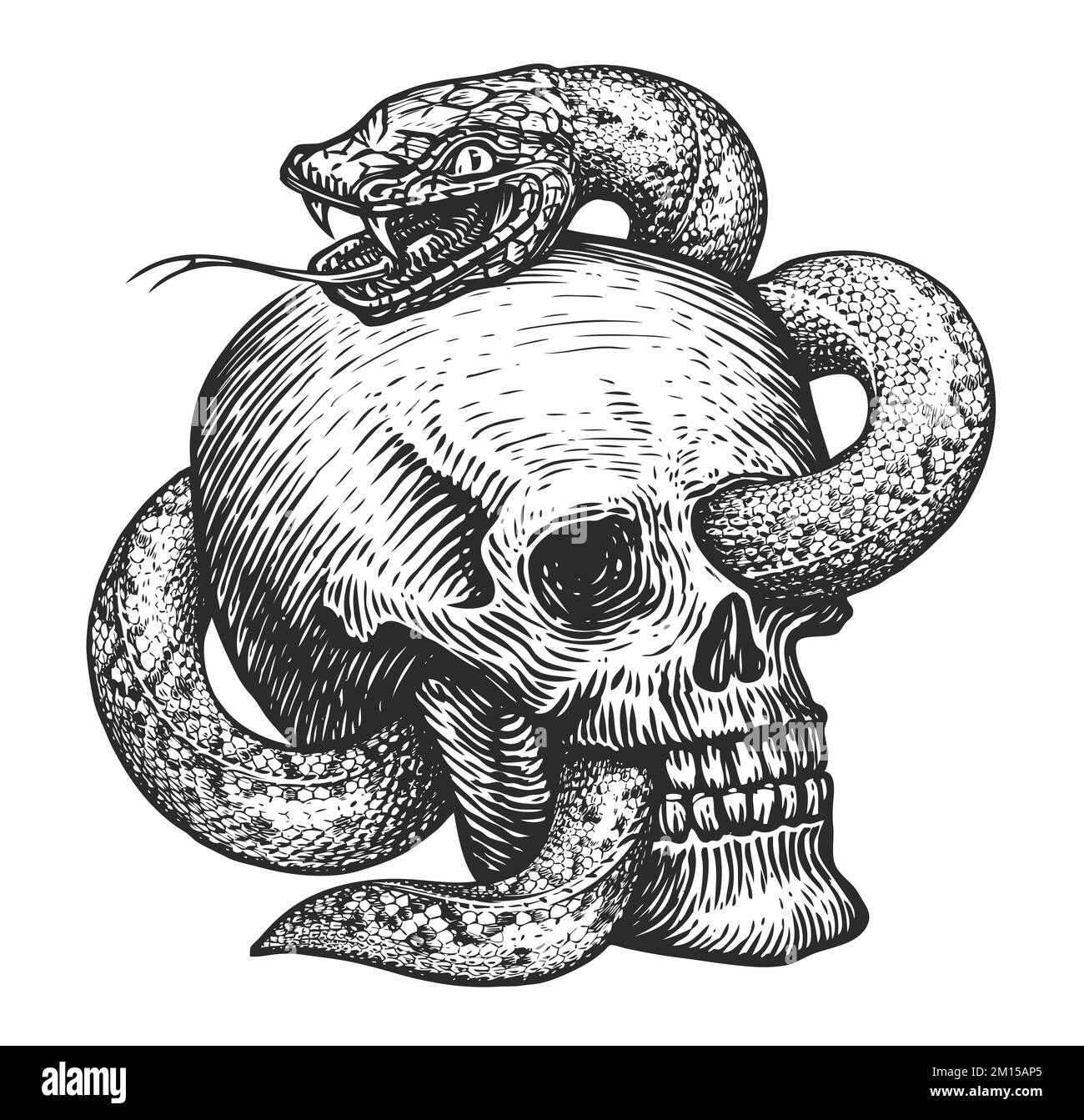Croquis serpent et crâne humain. Illustration dessinée à la main dans un style de gravure vintage. Tatouage isolé sur fond blanc Banque D'Images