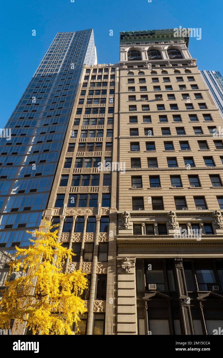 Le feuillage de chute d'or dynamique offre un contraste saisissant avec les façades en pierre des immeubles de bureaux le long de la Cinquième Avenue, 2022, New York City, États-Unis Banque D'Images