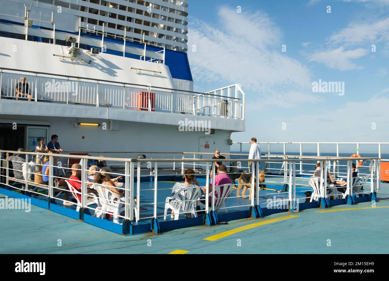 Les chenils Brittany Ferries ne sont pas autorisés dans les espaces publics du navire et doivent être muselés et en laisse à tout moment en dehors de la chenil. Banque D'Images