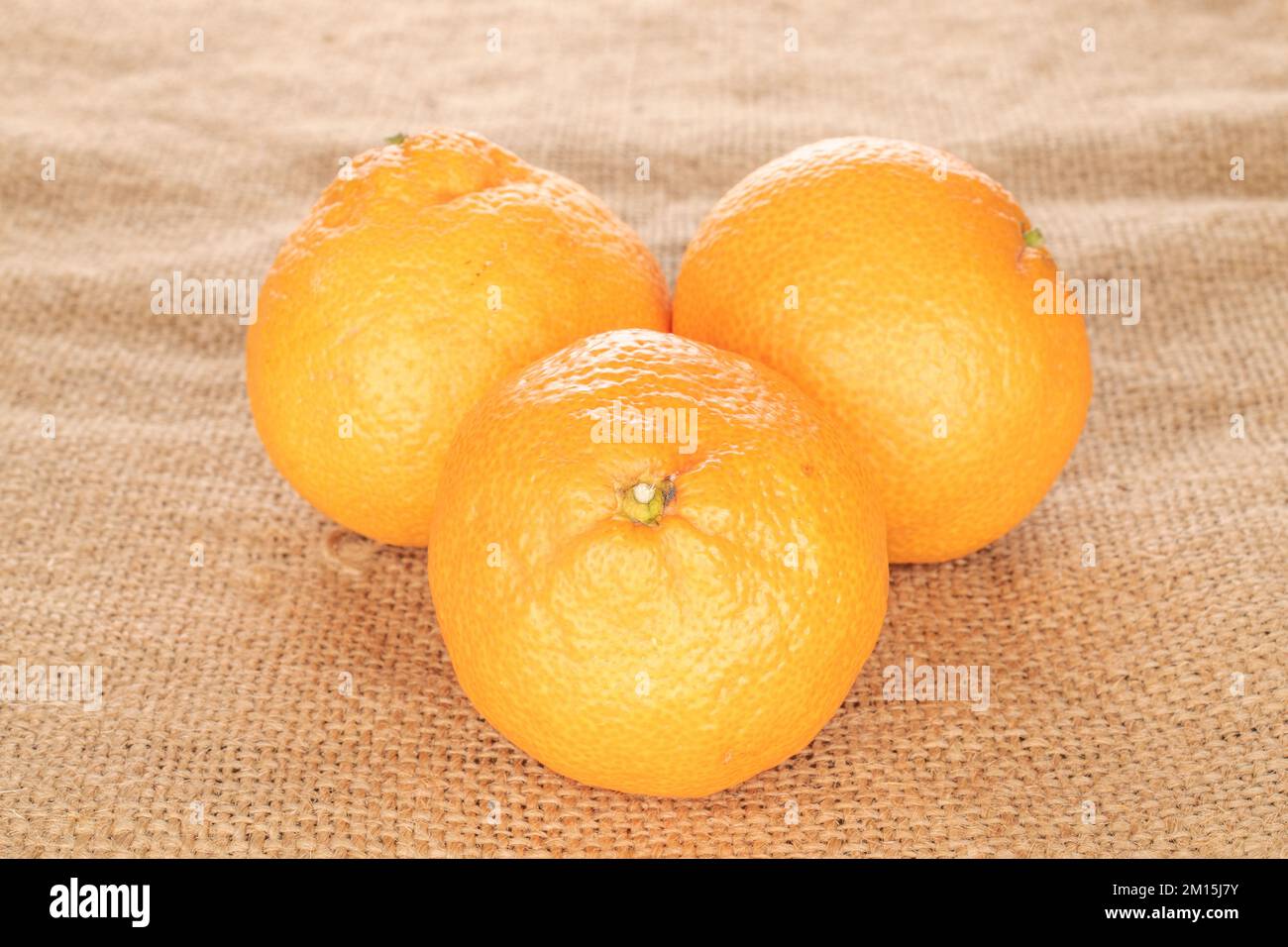 Trois mandarines mûres sur une toile de jute, macro. Banque D'Images
