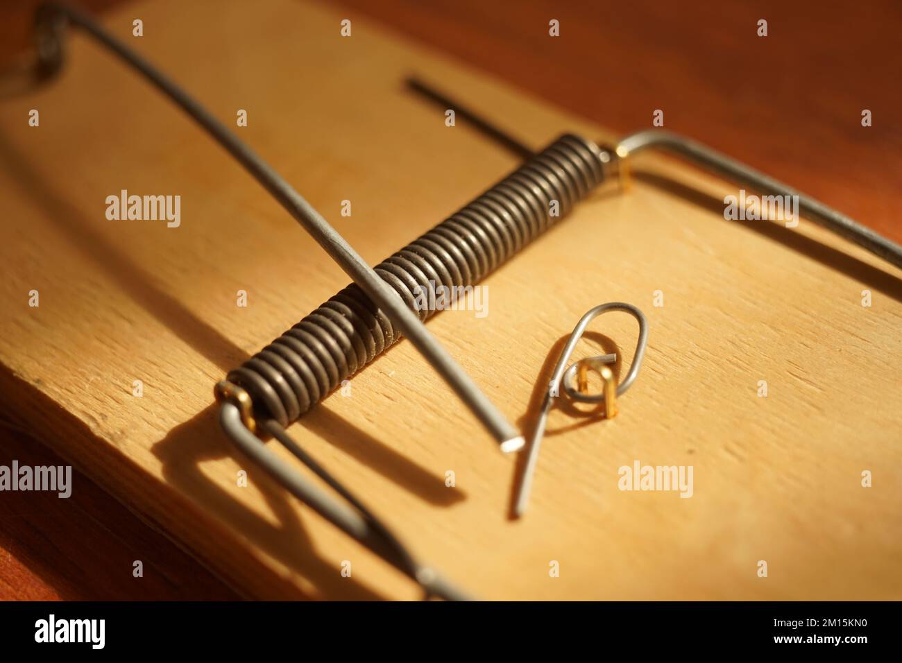 nouvelle vue rapprochée de mousetrap vide. Banque D'Images