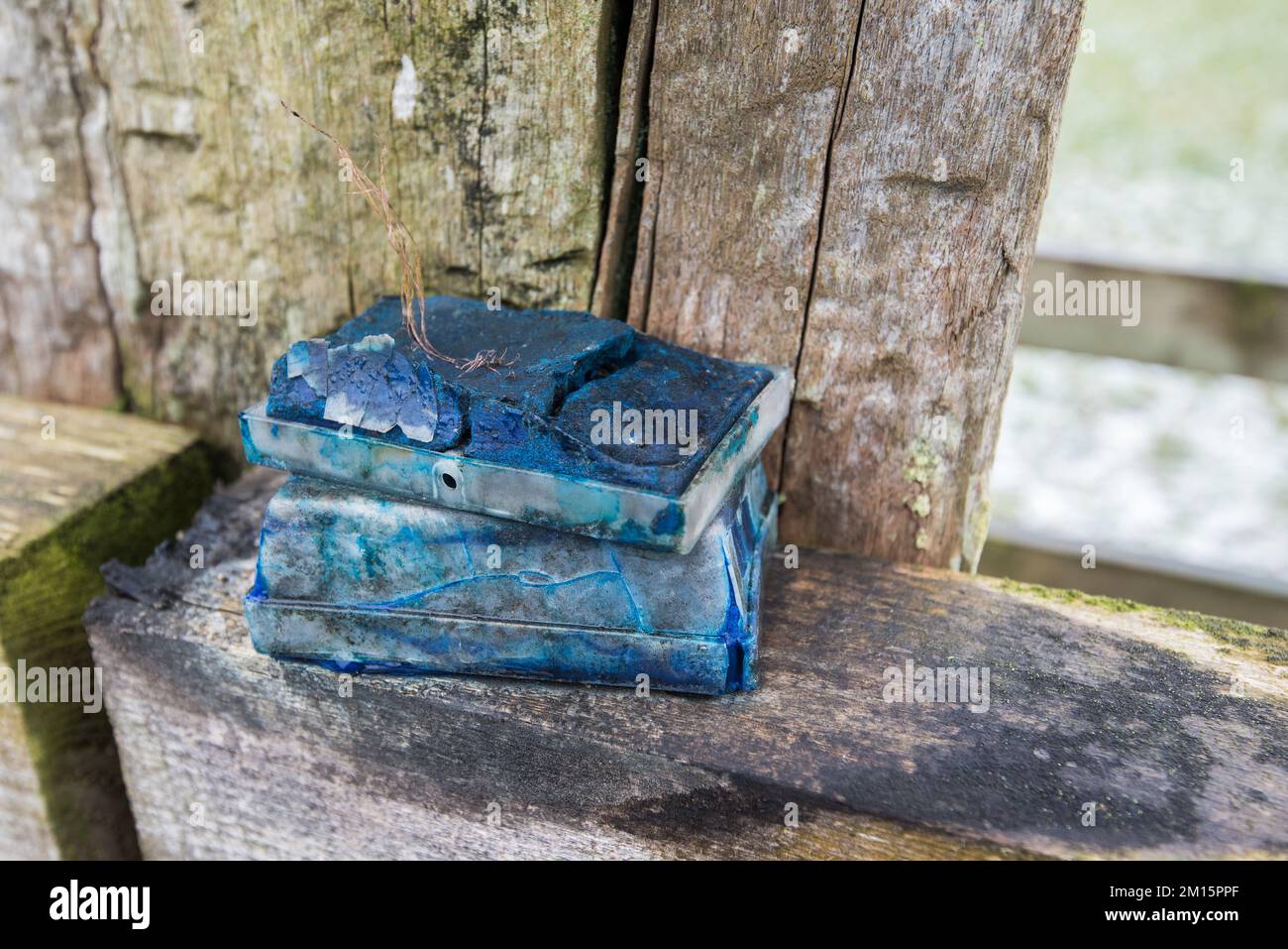 Les crayons de couleur utilisés et maintenant passés pour les moutons indiquent les brebis qui ont été avec le trup. Le boîtier en plastique s'adapte au faisceau du vérin. Banque D'Images