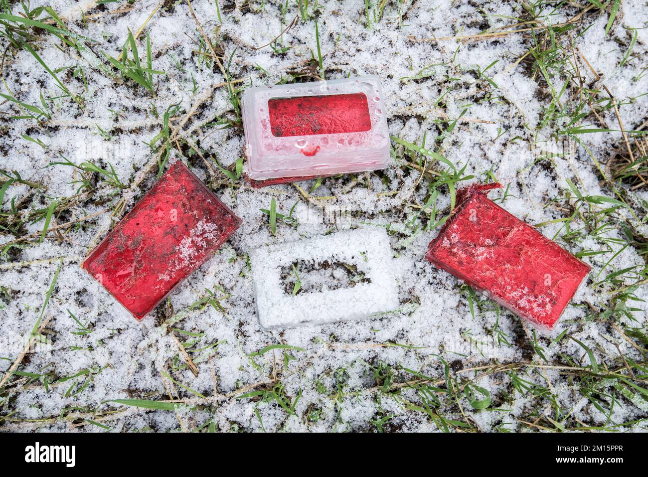 Les crayons de couleur utilisés et maintenant passés pour les moutons indiquent les brebis qui ont été avec le trup. Le boîtier en plastique s'adapte au faisceau du vérin. Banque D'Images