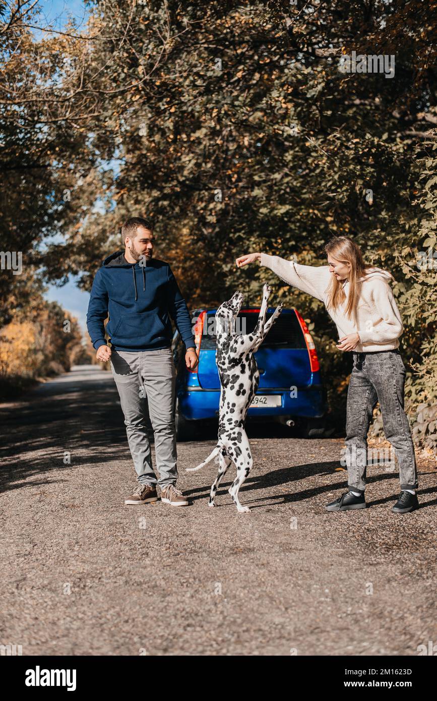 Un homme avec une femme s'amuse avec son chien en plein air dans la forêt près de la voiture. Banque D'Images