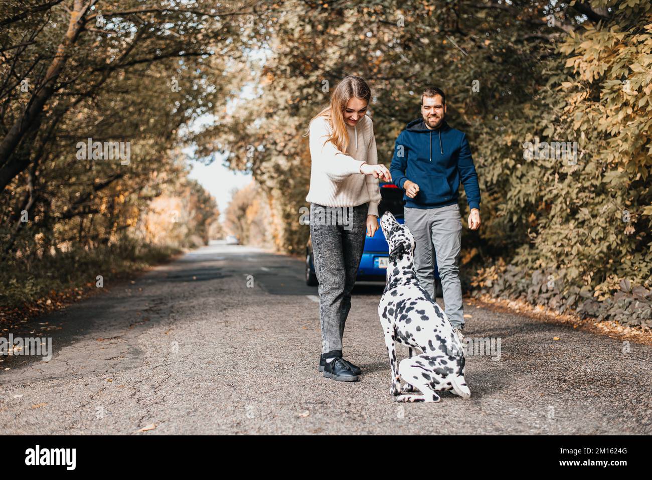 Un homme avec une femme s'amuse avec son chien en plein air dans la forêt près de la voiture. Banque D'Images