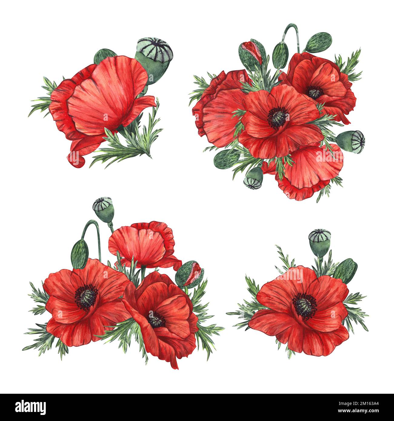 Composition de fleurs et de bourgeons de pavot rouge peints en aquarelle, isolés sur fond blanc. Pour le design, les invitations, l'emballage, les cartes postales Banque D'Images