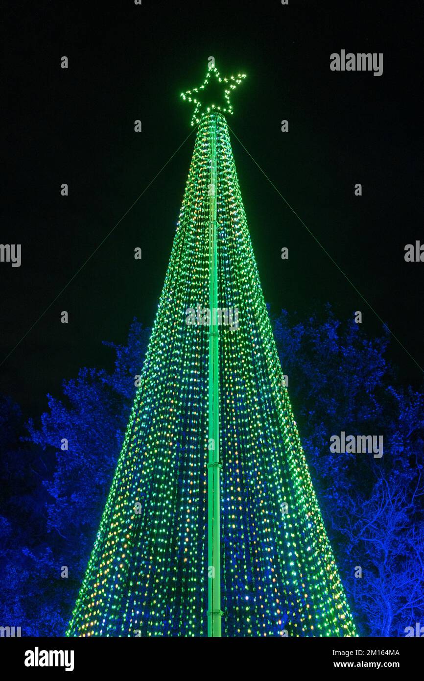 Sapin de Noël illuminé avec lumières en mouvement sur un spectacle de lumière. Banque D'Images