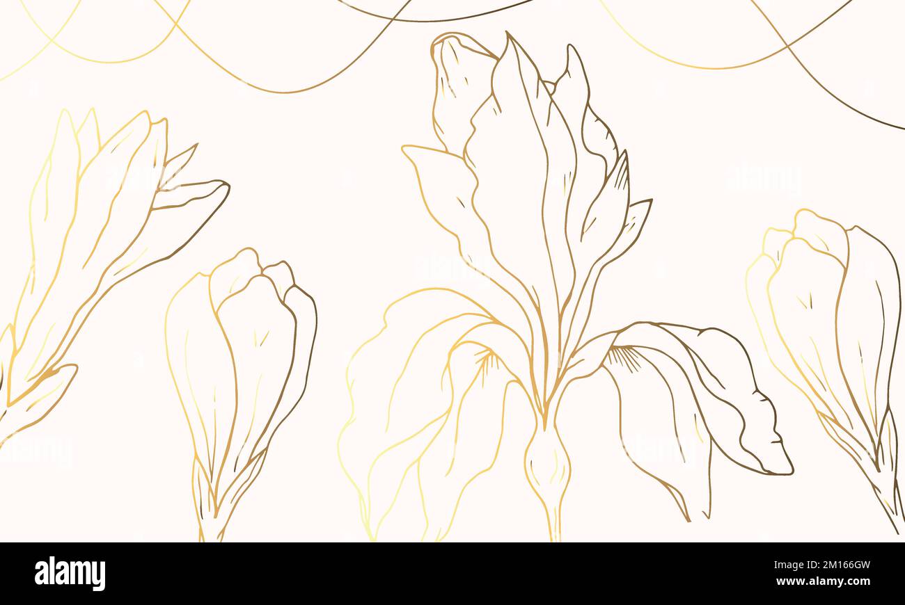 Fond doré et beige de luxe avec plantes. Contour de fleur. Iris. Dessiné à la main. Un minimum d'art. Art vectoriel Illustration de Vecteur