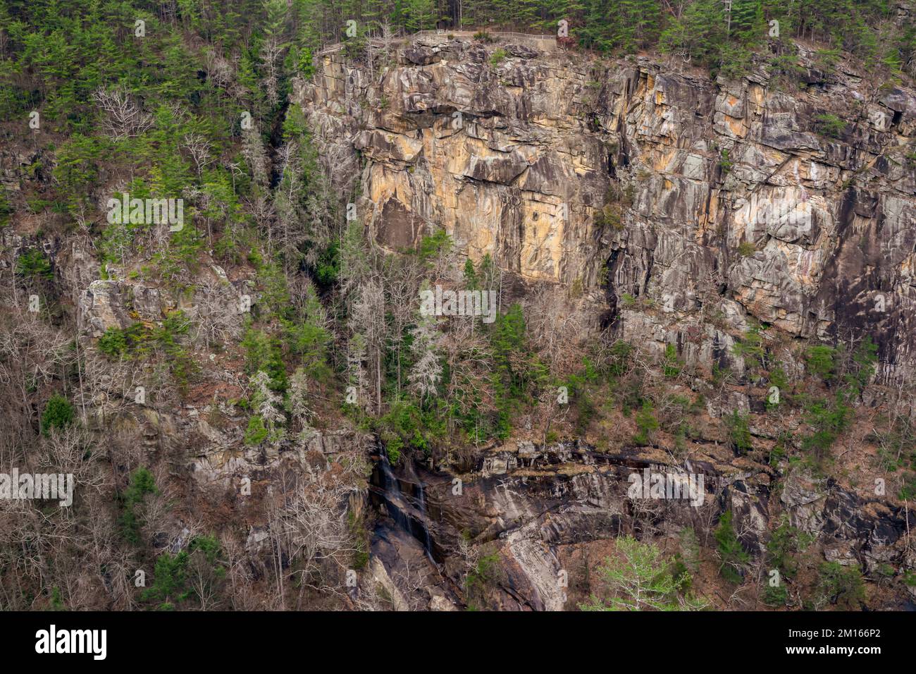Tallulah Falls, au nord-est d'Atlanta, Habersham & Rabun County, Géorgie. Il s'agit d'une série de six chutes d'eau en cascade à travers l'ancienne gorge de Tallulah Banque D'Images
