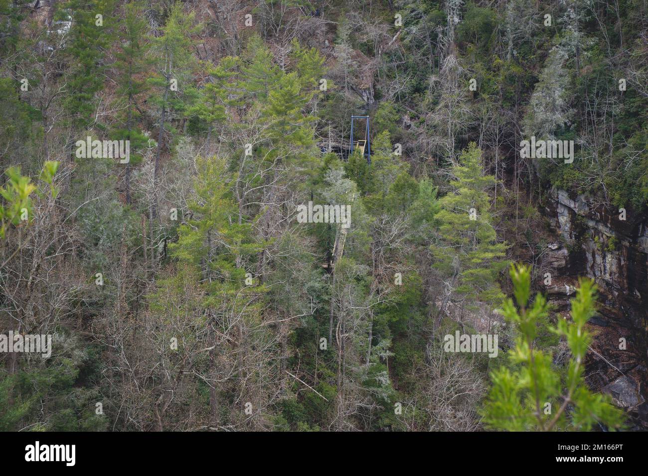 Tallulah Falls, au nord-est d'Atlanta, Habersham & Rabun County, Géorgie. Il s'agit d'une série de six chutes d'eau en cascade à travers l'ancienne gorge de Tallulah Banque D'Images