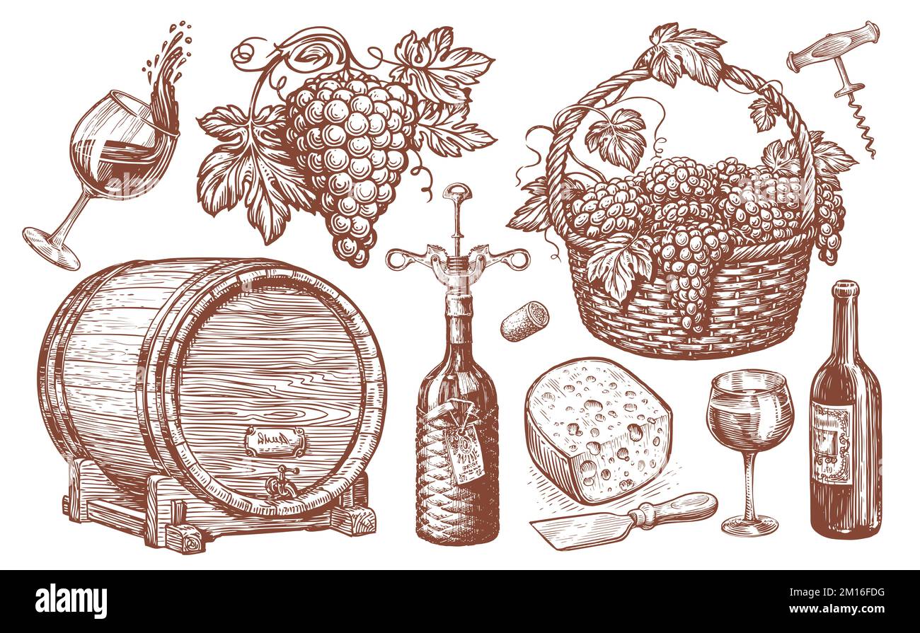 Ensemble à vin. Viticulture, concept de vignoble illustration ancienne. Collection d'esquisses dessinées à la main Banque D'Images
