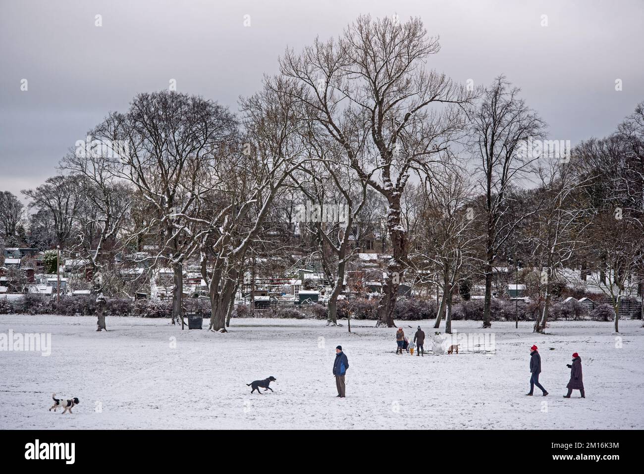 Snowy, jour de l'hiver à Inverleith Park, Édimbourg, Écosse, Royaume-Uni. Banque D'Images
