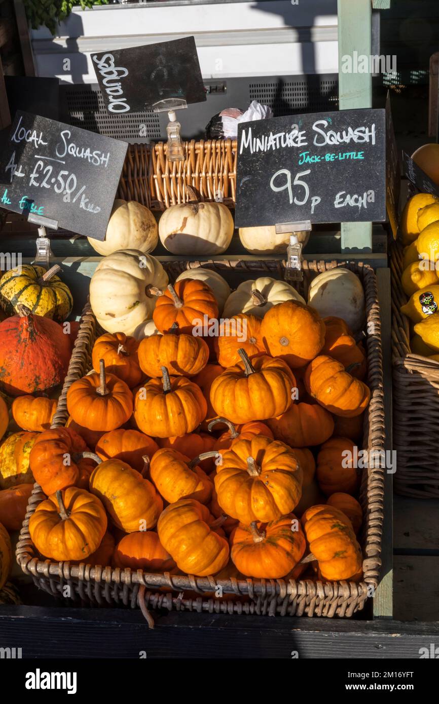 Un panier de courge miniature, Jack-be-Little, à vendre dans une ferme de Norfolk. Banque D'Images