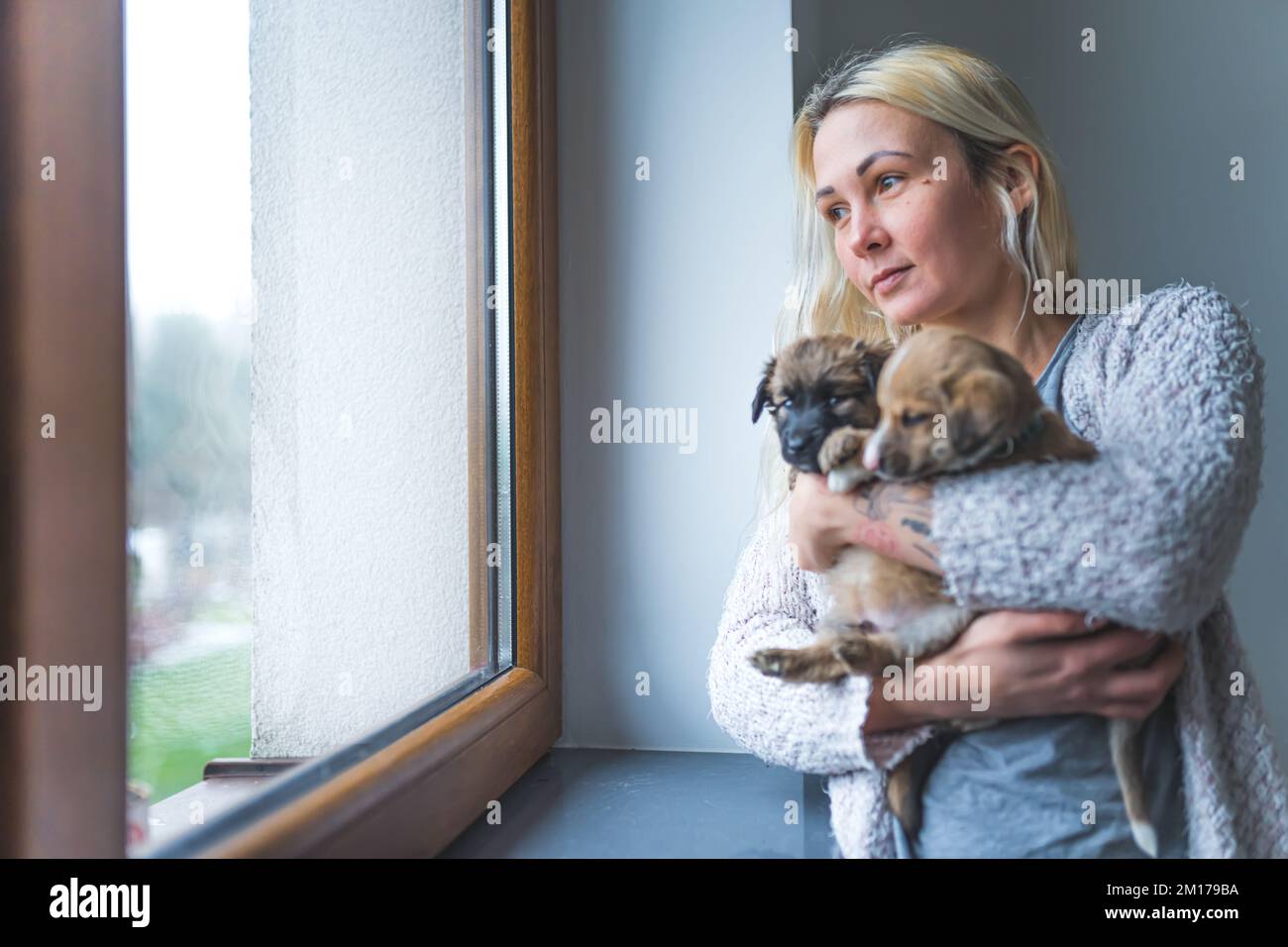 Concept de maison temporaire. Jeune femme caucasienne adulte debout près de la fenêtre et tenant deux adorables chiots de race mixte. Les humains et les animaux. Photo de haute qualité Banque D'Images