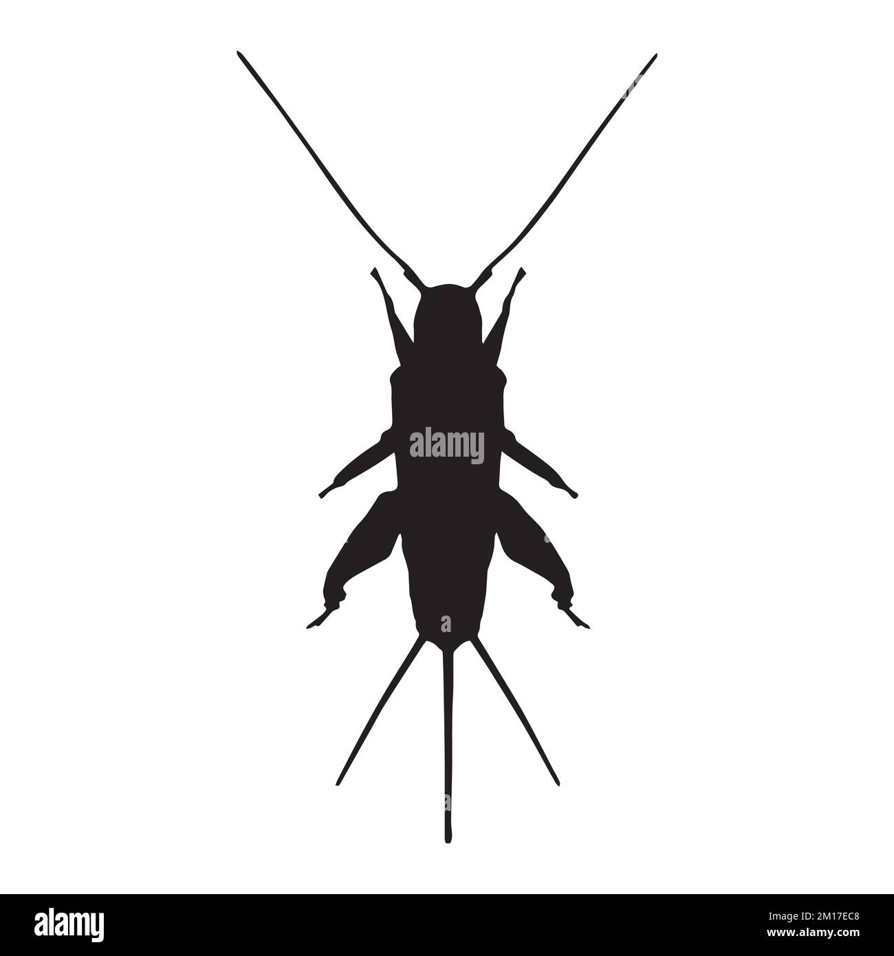 Illustration vectorielle de la silhouette de cricket Illustration de Vecteur