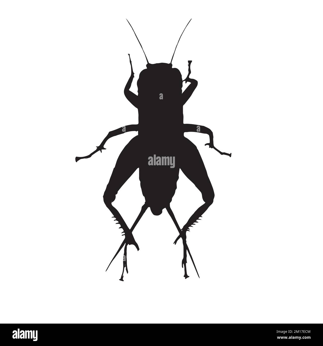 Illustration vectorielle de la silhouette de cricket Illustration de Vecteur