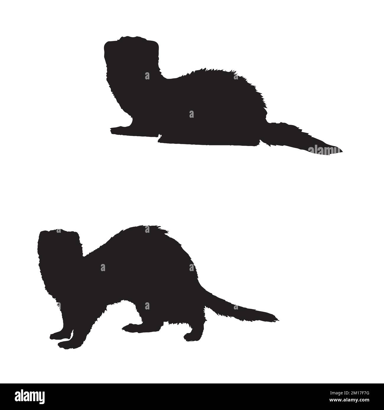Silhouette d'art de furet Illustration de Vecteur