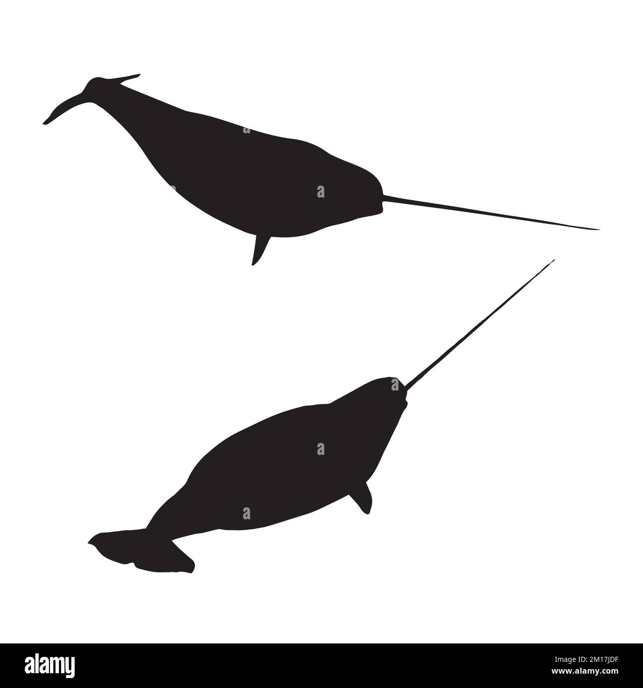 Illustration vectorielle de la silhouette narval Illustration de Vecteur