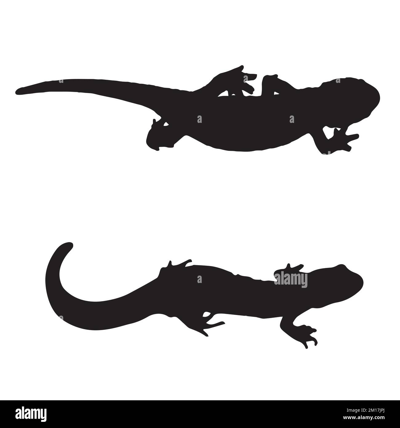 Illustration vectorielle de la silhouette de Salamandre Illustration de Vecteur