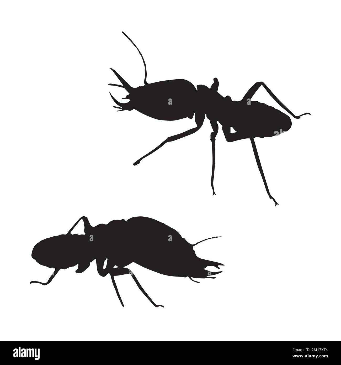 Illustration vectorielle de la silhouette d'art Termite Illustration de Vecteur