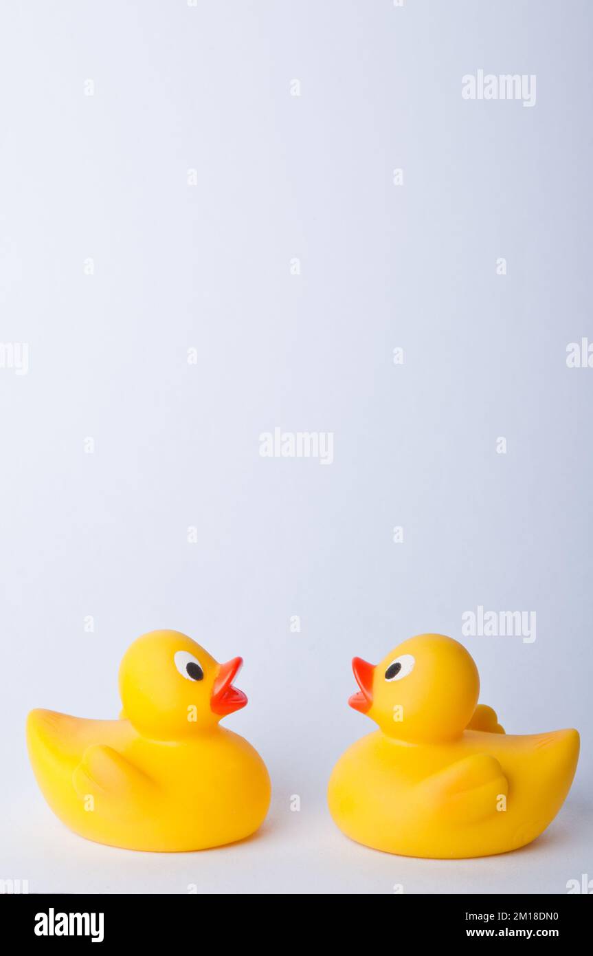Lot 2 Canards Mariés En Caoutchouc - Jouets De Bain Drôles, Avec Accessoires, Décoration Mariage, Cadeau Humour