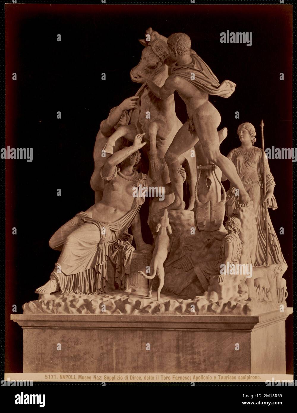 Supplizio di Dirce, detto il Toro Farnese. Apollonio e Taurisco scolpirono , Antiquités, Sculpture, Bulls, Apollo Deity, Apollonius, de Trales. Taureau farnois. Collection Nicholas Catsimpolas Banque D'Images