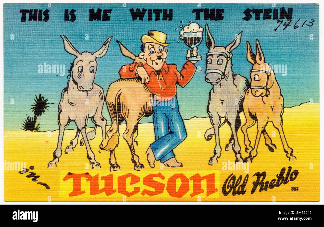 C'est moi avec le stein à Tucson, Arizona, Tichnor Brothers Collection, cartes postales des États-Unis Banque D'Images
