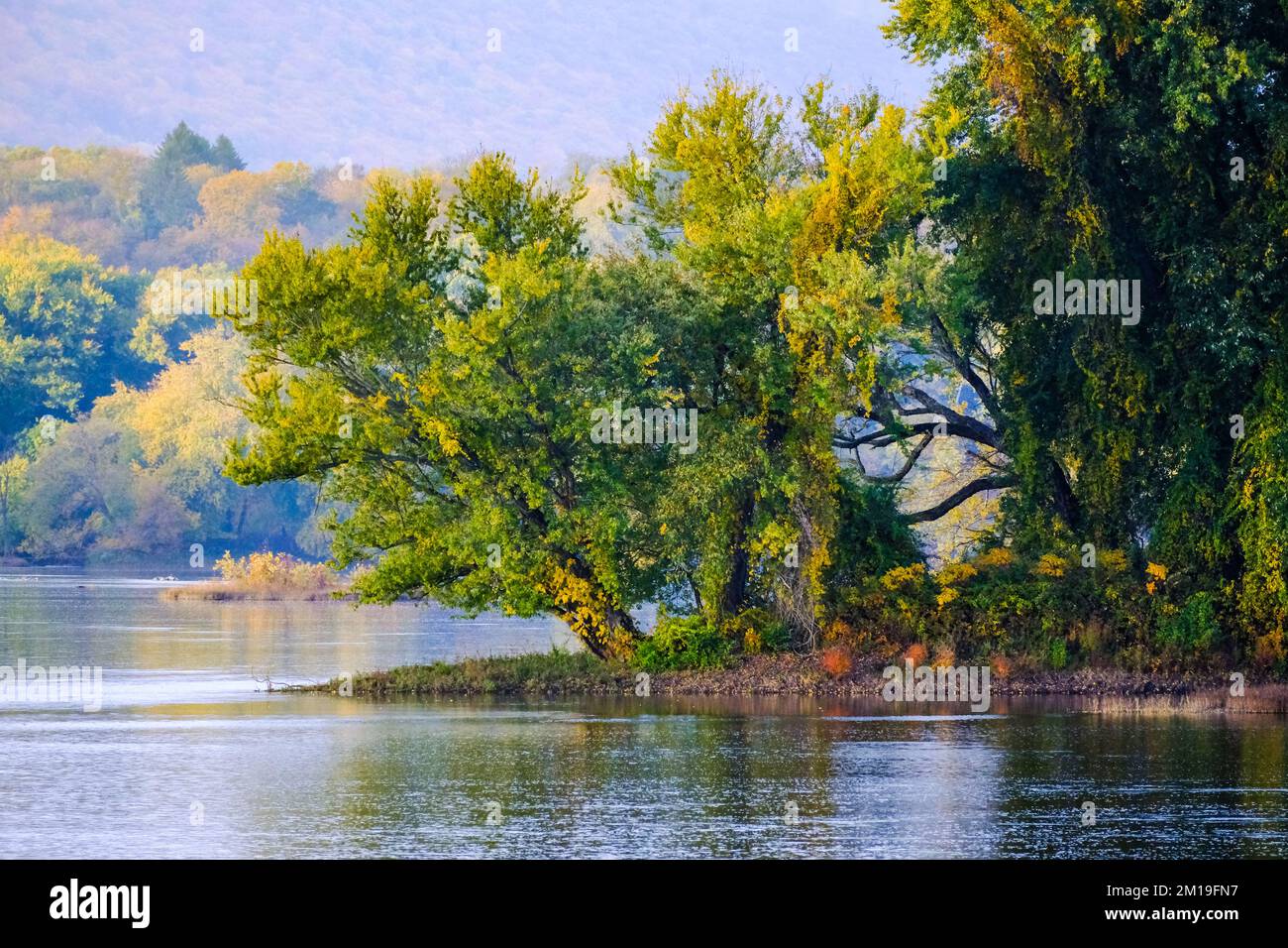 Automne sur la rivière Susquehanna, vallée de la rivière Susquehanna, près de Dauphin, Pennsylvanie, États-Unis, Région du centre de l'Atlantique. Banque D'Images