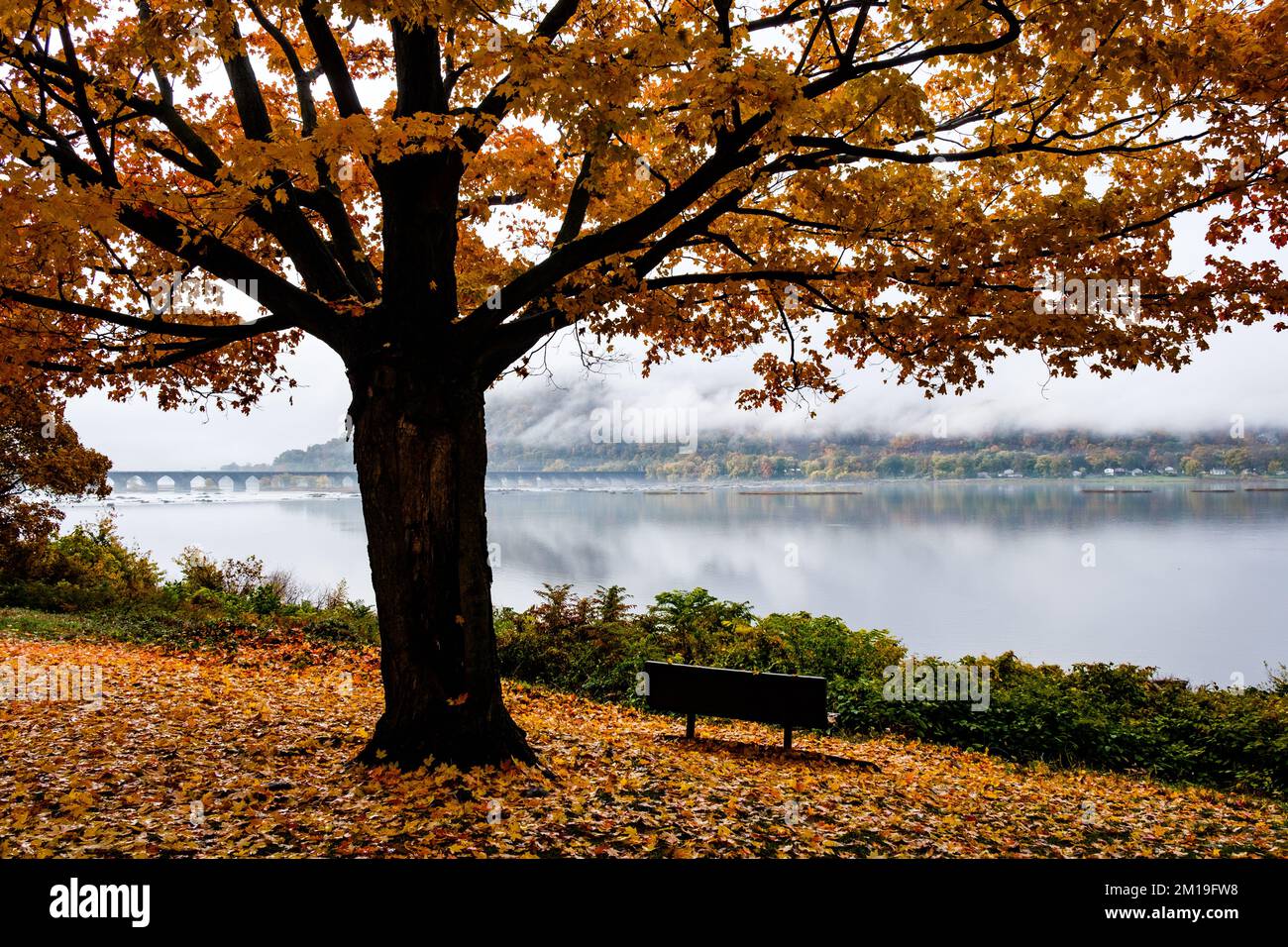 Vue d'automne du pont Rockville sur la rivière Susquehanna, près de Harrisburg, Pennsylvanie, États-Unis; pont ferroviaire; pont en pierre le plus long du monde. Banque D'Images