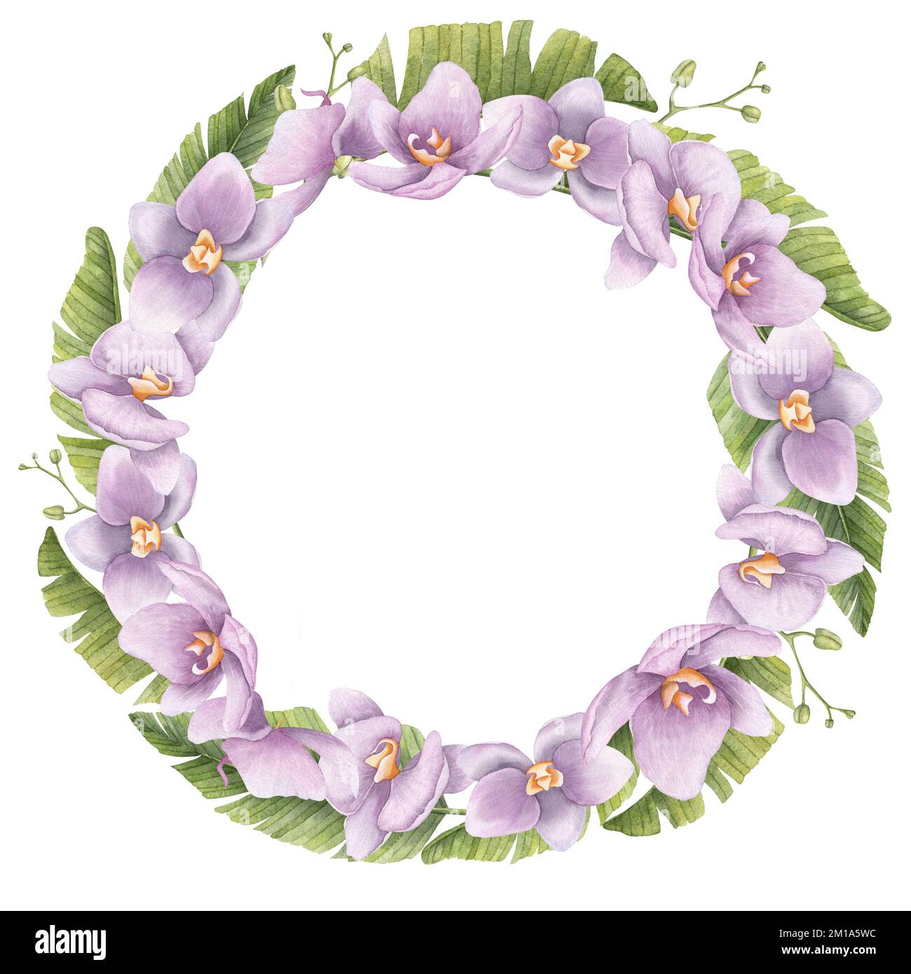 Couronne tropicale d'aquarelle fleurs d'orchidée pourpre et feuilles de palmier vertes. Illustration dessinée à la main d'un cadre rond avec des plantes exotiques sur fond isolé. Dessin floral pour cartes de vœux. Banque D'Images