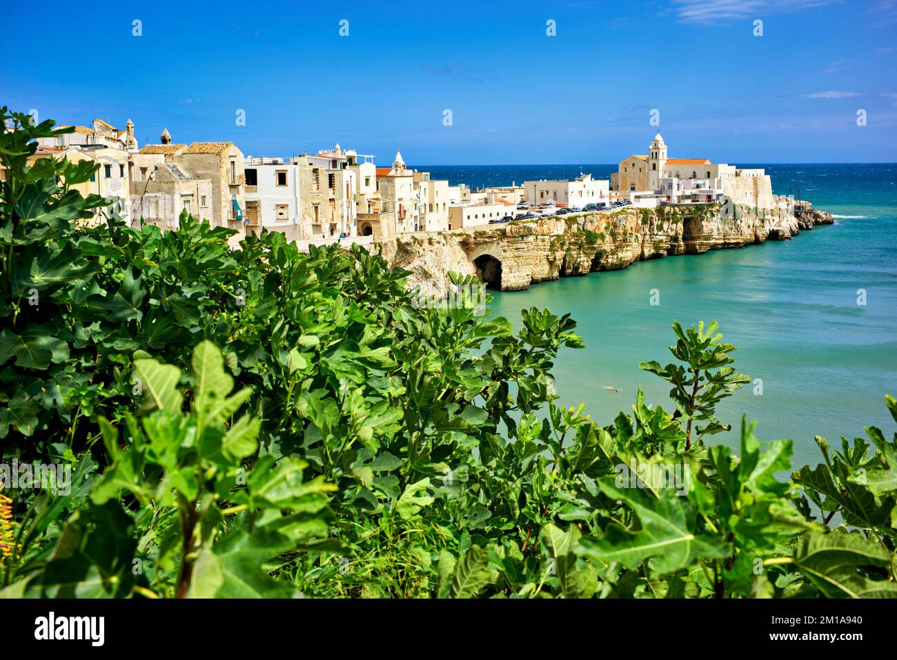 Vieste Gargano. Pouilles Italie. Cape San Francesco et église San Francesco Banque D'Images