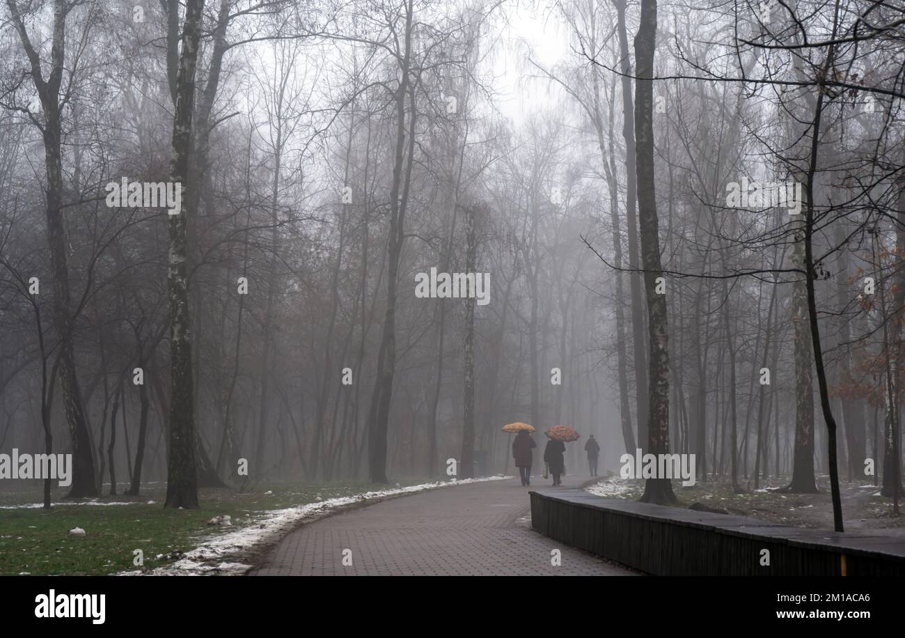 Matin brumeux dans le parc. Temps pluvieux brumeux dans la ville d'hiver Banque D'Images