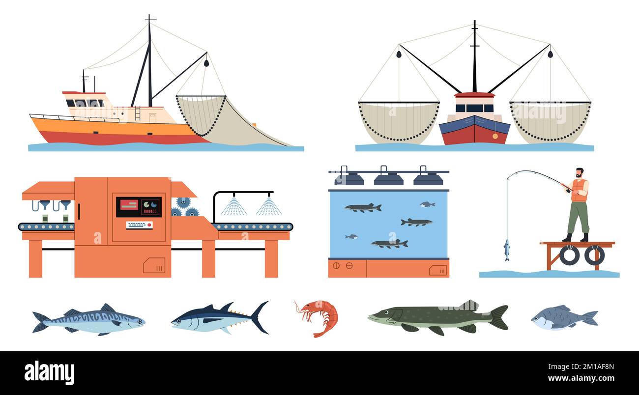 Industrie de l'alimentation de mer. Processus d'extraction des délices ...