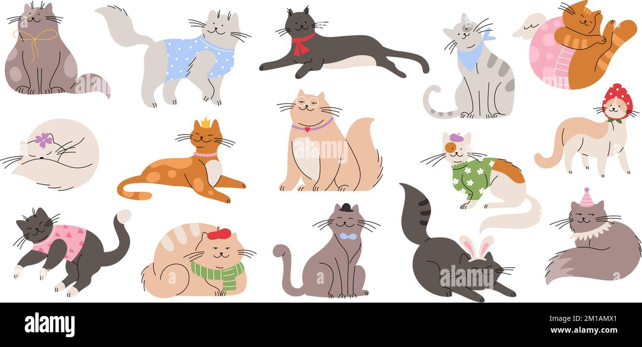 Les chats adorables portent un pull, des chapeaux amusants. Doux chaton en  foulard, motif chat isolé. Caricature petite chatte, valentine, animaux  vectoriels Image Vectorielle Stock - Alamy