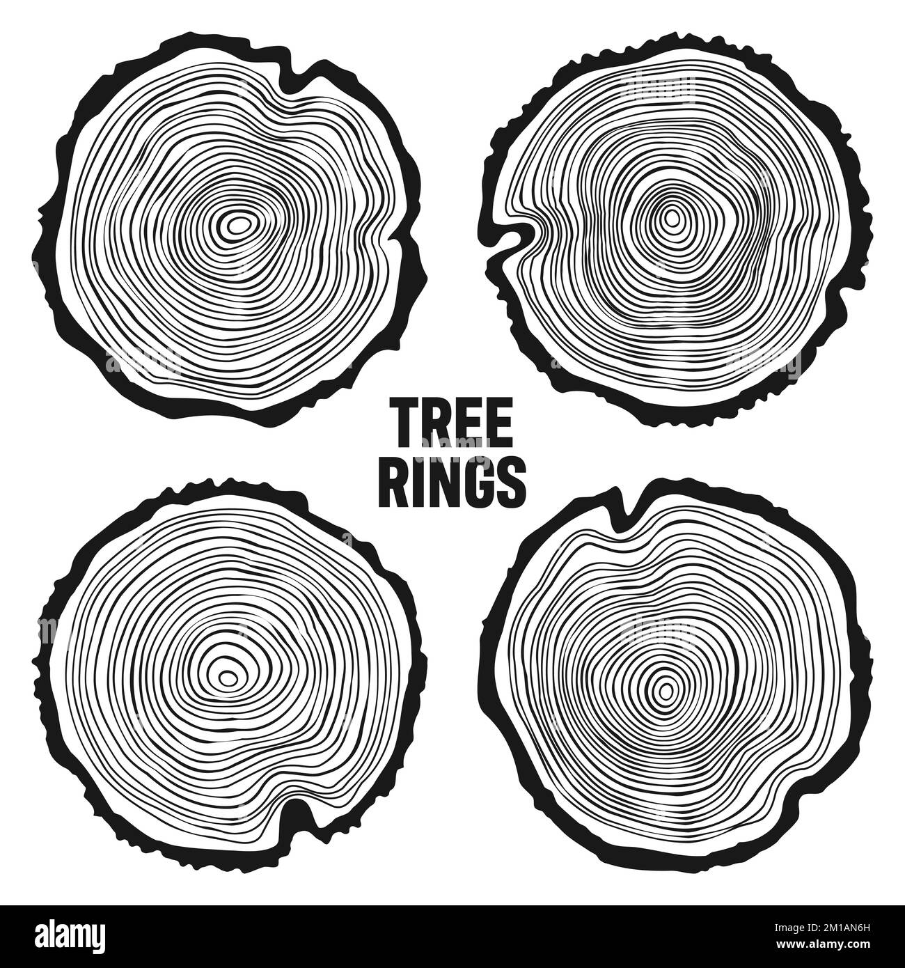 Troncs d'arbre ronds, tranches de pin ou de chêne sciées, bois d'œuvre.Bois scié, bois.Texture en bois avec anneaux.Esquisse dessinée à la main.Illustration vectorielle Illustration de Vecteur