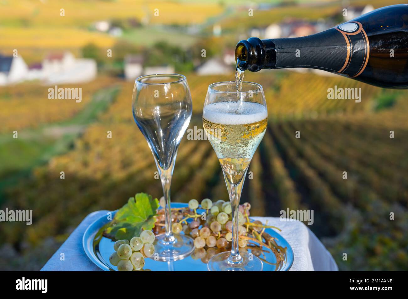Dégustation de vin blanc mousseux français avec bulles de champagne sur ...