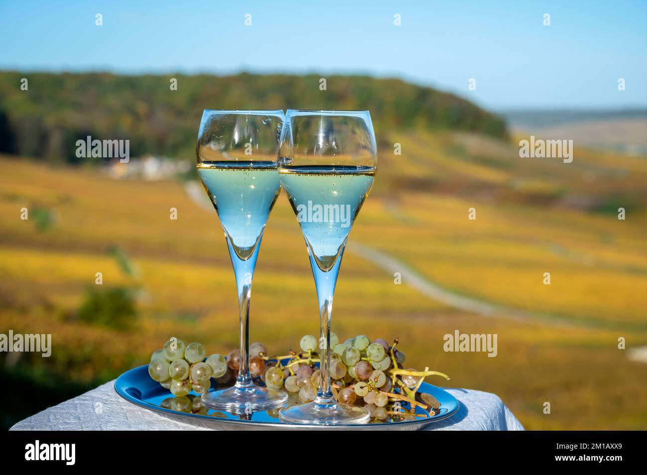 Dégustation de vin blanc mousseux français avec bulles de champagne sur ...