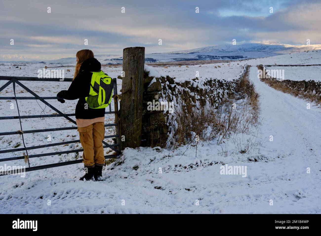 Une adolescente admire la vue sur une promenade d'hiver dans la neige dans la campagne des Yorkshire Dales avec la colline d'Ingleborough en arrière-plan Banque D'Images