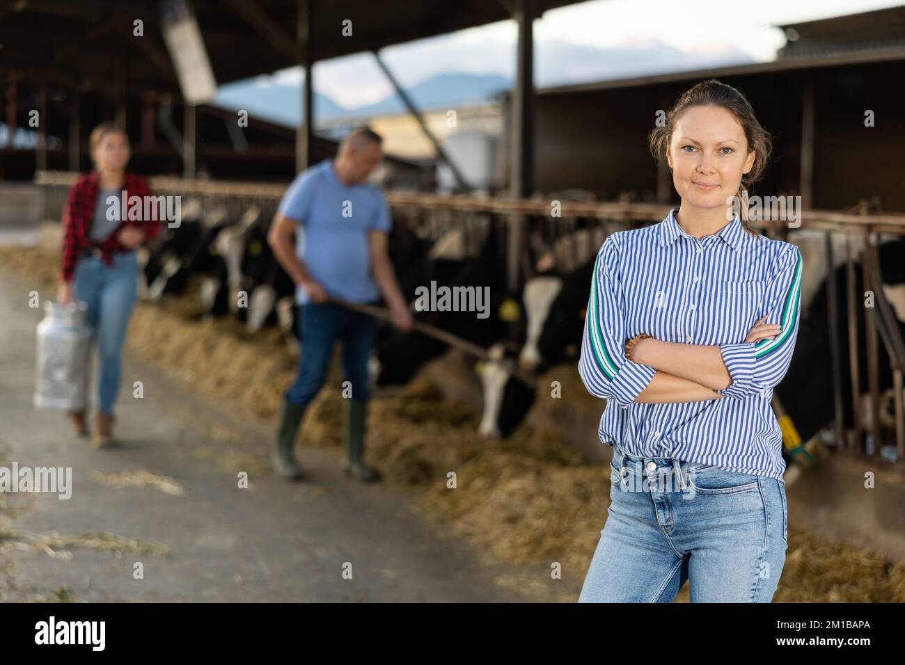 Femme gaie posant dans un abri de vache sur des vaches laitières d'élevage Banque D'Images