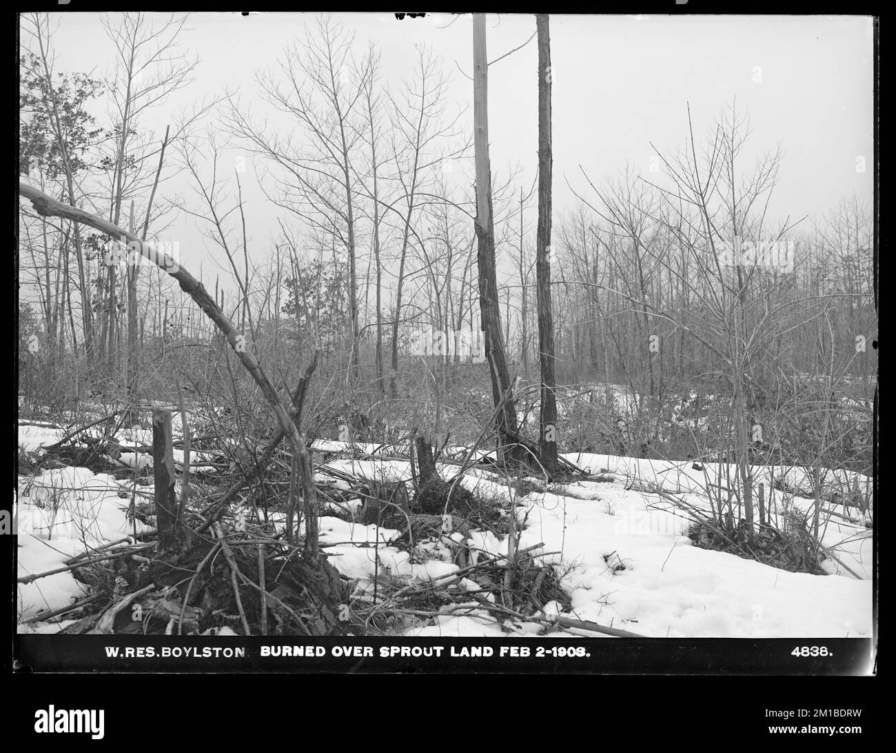 Wachusett Reservoir, brûlé au-dessus de la terre de sprint, Boylston, Massachusetts, 2 février 1903 , ouvrages d'eau, réservoirs, structures de distribution d'eau, foresterie Banque D'Images