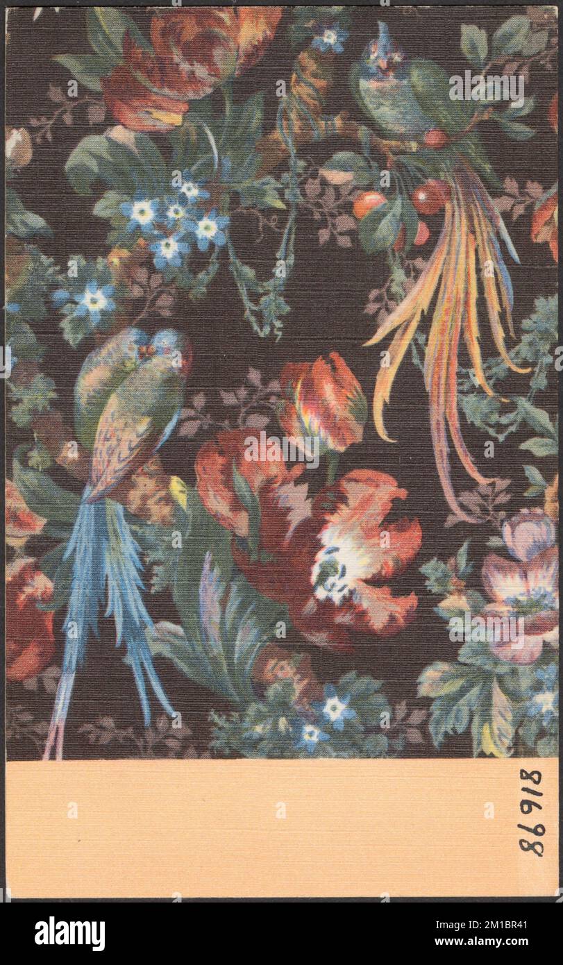 Papier peint - oiseaux sur les arbres , oiseaux, Fonds d'écran, Collection de frères Tichnor, cartes postales des États-Unis Banque D'Images