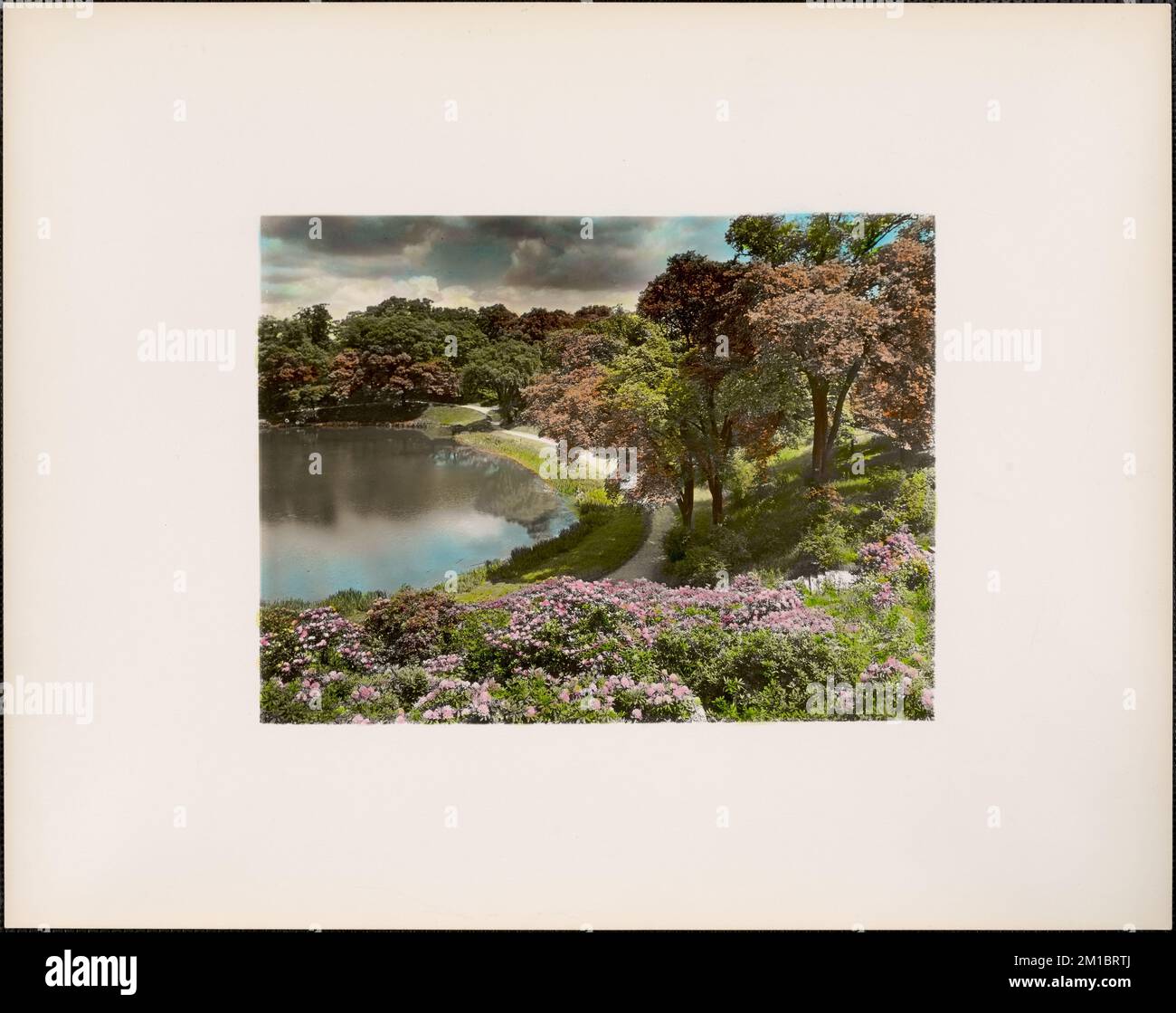 Ward's Pond, vue sur Perkins Street, sentiers et chemins, fleurs, lacs et étangs. Collection Leon Abdalian Banque D'Images