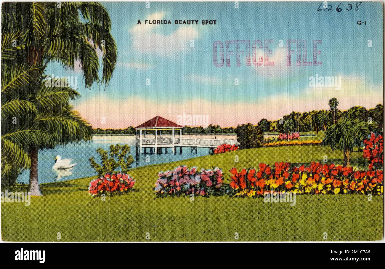 Un endroit de beauté de Floride, Tichnor Brothers Collection, cartes postales des États-Unis Banque D'Images