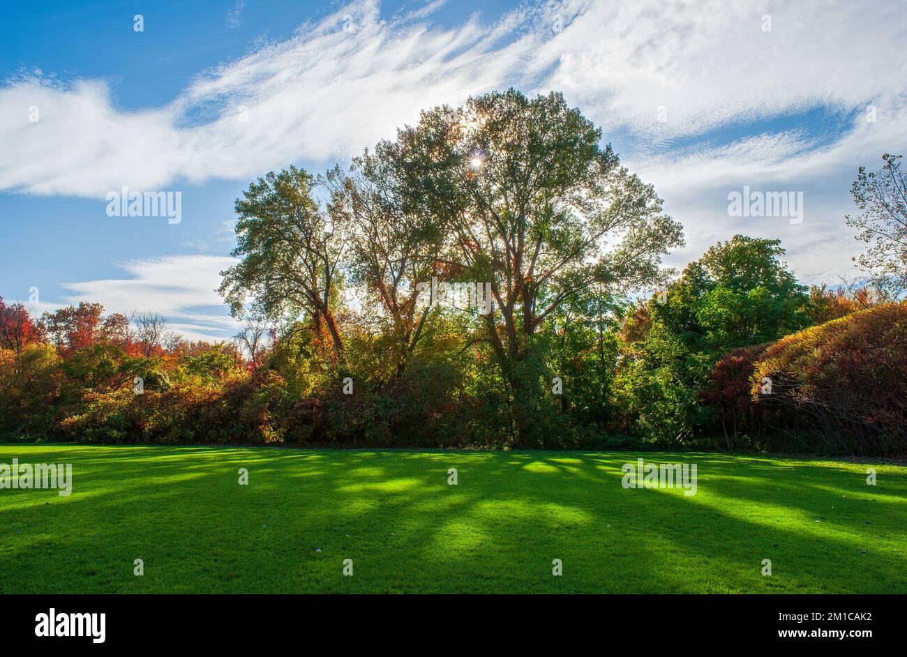 Le soleil brille à travers les arbres avec des feuilles d'automne colorées, dessinant des nuances sur un champ vert. Cold Spring Park, Newton, ma, États-Unis. Banque D'Images