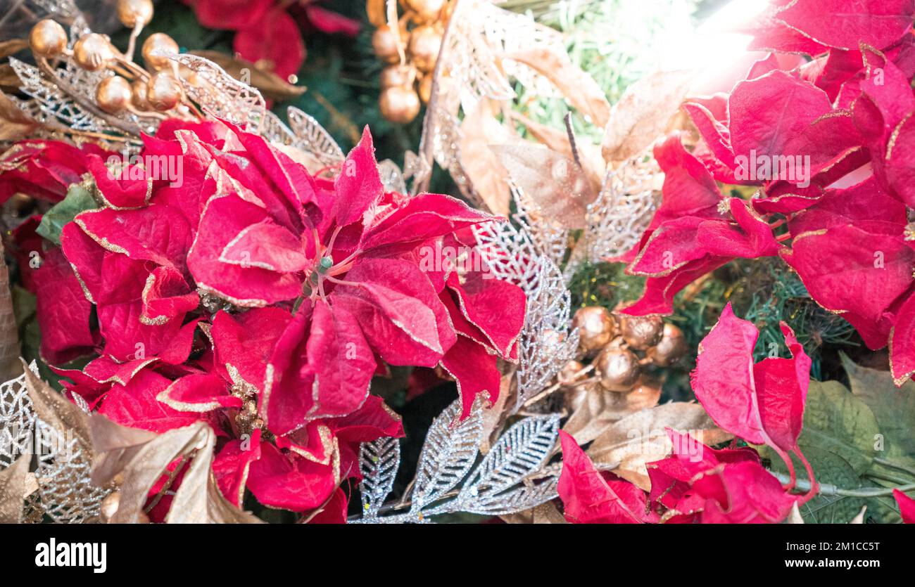 Décoration de Noël avec fleurs rouges. Coloré et festif. Banque D'Images