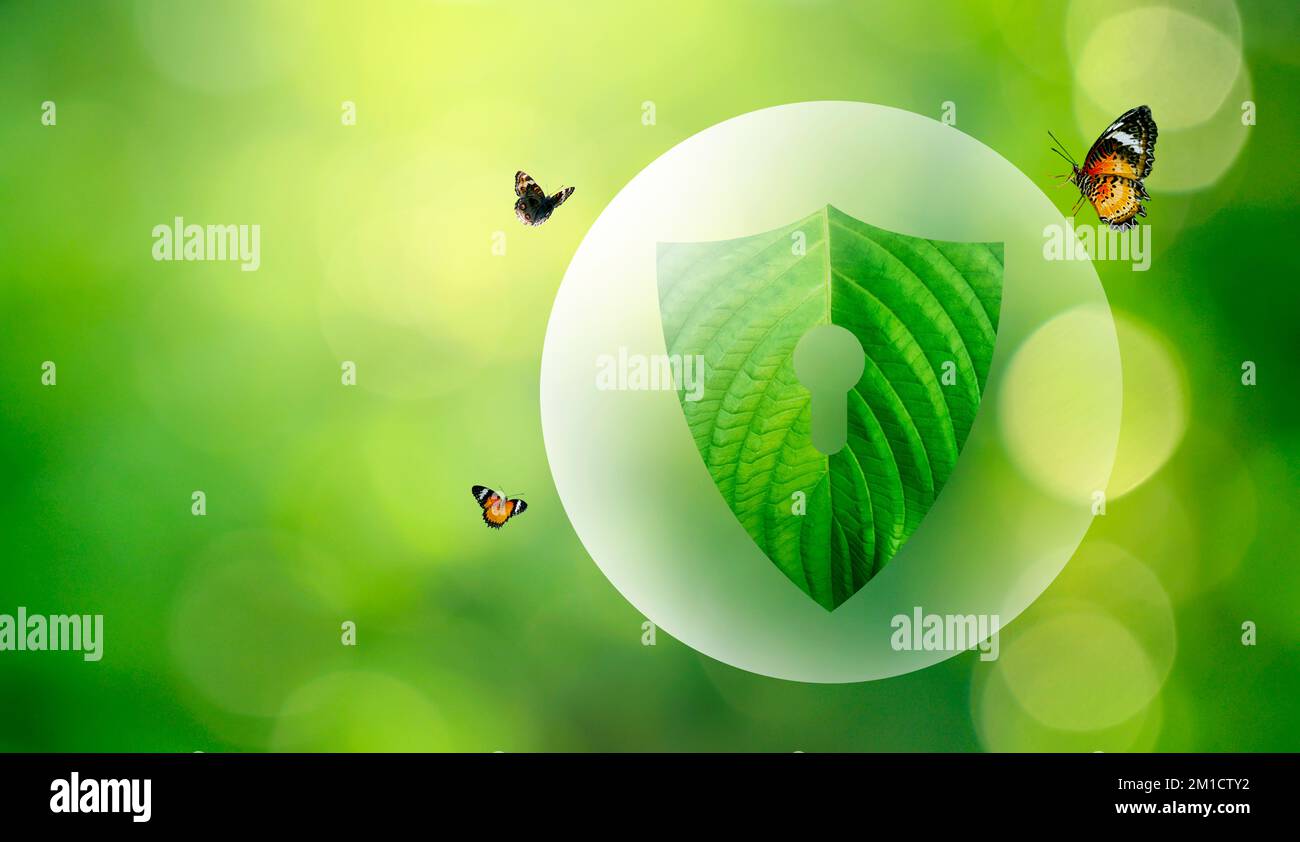 Le bouclier vert protège la nature et l'environnement. Banque D'Images